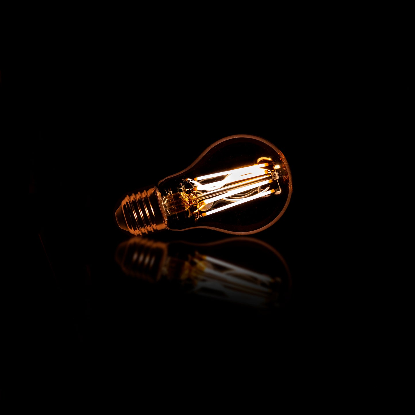 Glühlampe SDGL6
